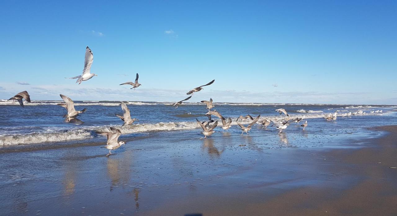Sunset Lodge Zandvoort Zewnętrze zdjęcie